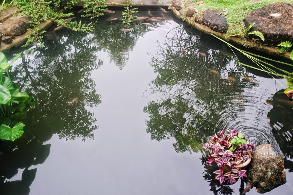 Harmony Valley Retreat Bukit Tinggi Exterior photo